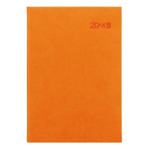 Denní diář 2023 Viva A5 - oranžová