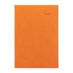 Denní diář 2026 Viva A5 - oranžová