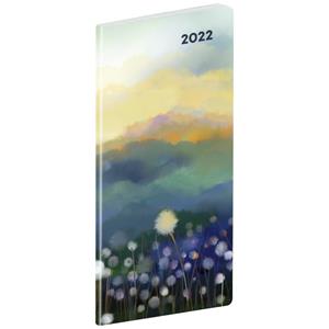Měsíční diář 2022 plánovací kapesní - Motýle SK