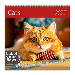 Nástěnný kalendář 2022 - Cats