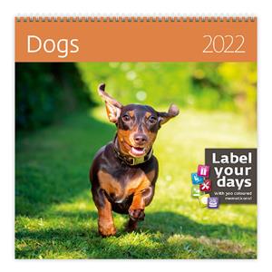 Nástěnný kalendář 2022 - Dogs