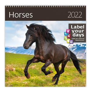 Nástěnný kalendář 2022 - Horses