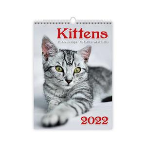 Nástěnný kalendář 2022 - Kittens/Katzenbabys/Koťátka/Mačičky