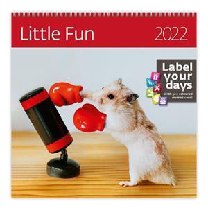 Nástěnný kalendář 2022 - Little Fun