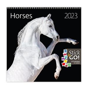 Nástěnný kalendář 2023 - Horses