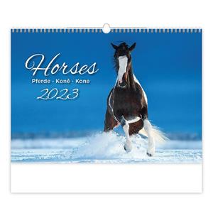 Nástěnný kalendář 2023 - Koně