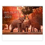 Nástěnný kalendář 2023 - Wildlife