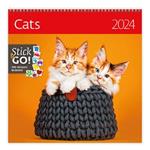 Nástěnný kalendář 2024 - Cats