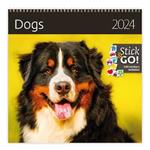 Nástěnný kalendář 2024 - Dogs