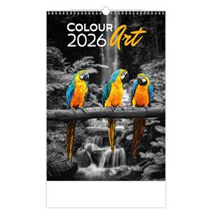 Nástěnný kalendář 2026 - Colour Art