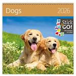 Nástěnný kalendář 2026 - Dogs