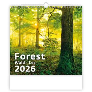 Nástěnný kalendář 2026 - Forest/Wald/Les