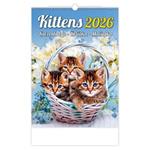 Nástěnný kalendář 2026 - Kittens/Katzenbabys/Koťátka/Mačičky