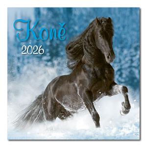 Nástěnný kalendář 2026 - Koně