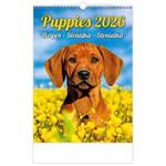 Nástěnný kalendář 2026 - Puppies/Welpen/Štěňátka/Šteniatka
