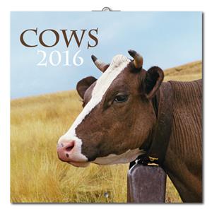 Nástěnný kalendář Krávy 2016