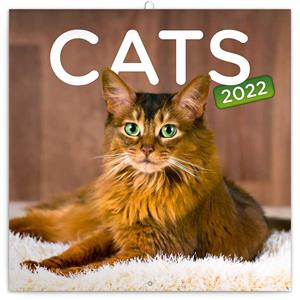 Nástěnný poznámkový kalendář 2022 Kočky