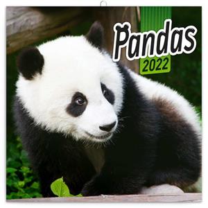 Nástěnný poznámkový kalendář 2022 Pandy