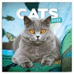 Nástěnný poznámkový kalendář 2023 Kočky