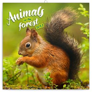 Nástěnný poznámkový kalendář 2023 Zvířátka z lesa