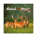 Nástěnný poznámkový kalendář 2024 Zvířátka z lesa