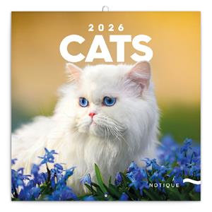 Nástěnný poznámkový kalendář 2026 Kočky