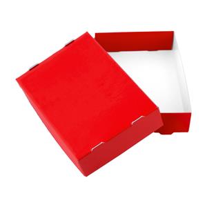 Papírová krabička s víkem typ 3 skládací 250x310 matná - červená