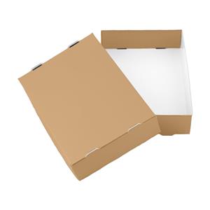 Papírová krabička s víkem typ 3 skládací 250x310 matná - zlatá