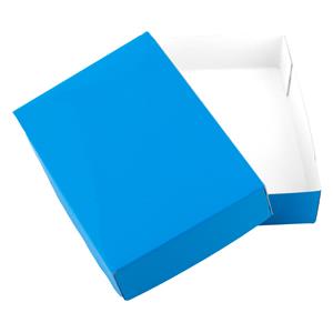 Papírová krabička s víkem typ 4 lepená 250x310 matná - modrá