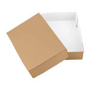 Papírová krabička s víkem typ 4 lepená 250x310 matná - zlatá