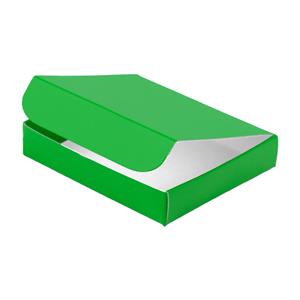 Papírová krabička zavírací typ 5 lepená 215x302 matná - zelená