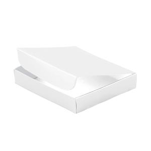 Papírová krabička zavírací typ 5 lepená 250x310 matná - bílá