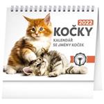 Stolní kalendář 2022 Kočky - se jmény koček