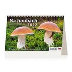 Stolní kalendář 2022 - Na houbách