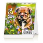 Stolní kalendář 2024 - Mini Puppies