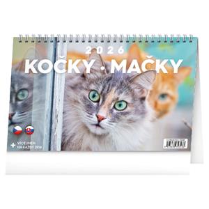 Stolní kalendář 2026 Kočky - Mačky CZ/SK