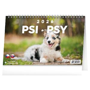 Stolní kalendář 2026 Psi - Psy CZ/SK